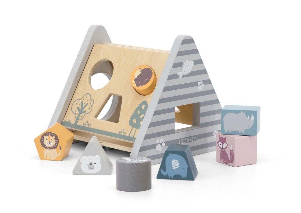 5-in-1 Activity toy