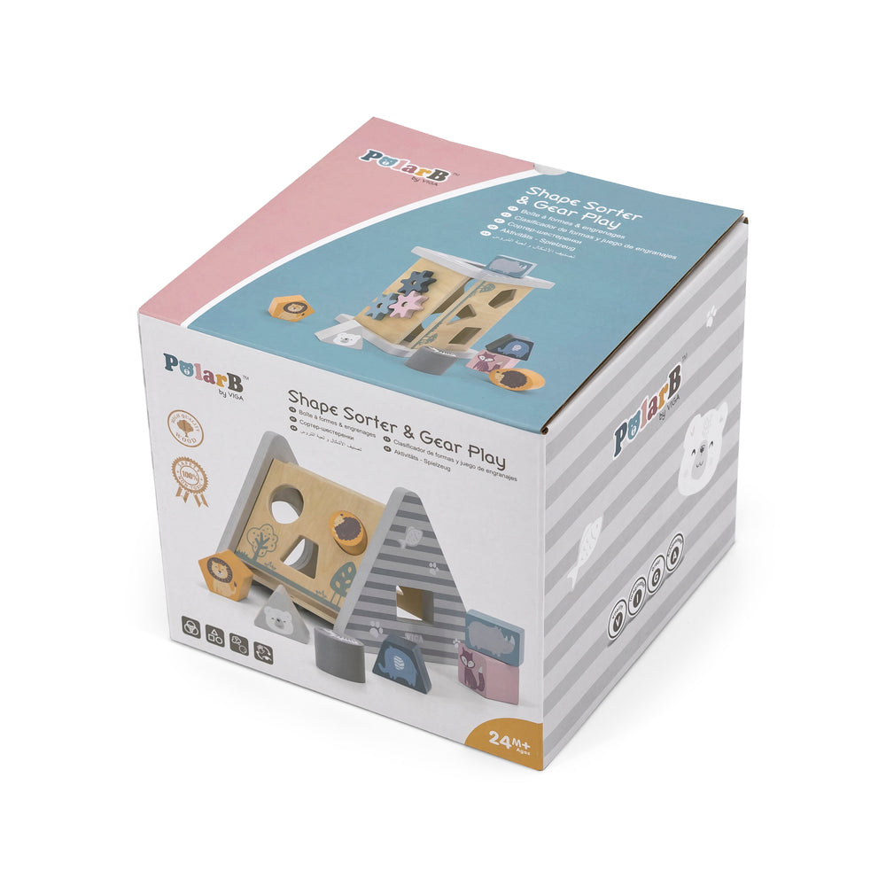5-in-1 Activity toy